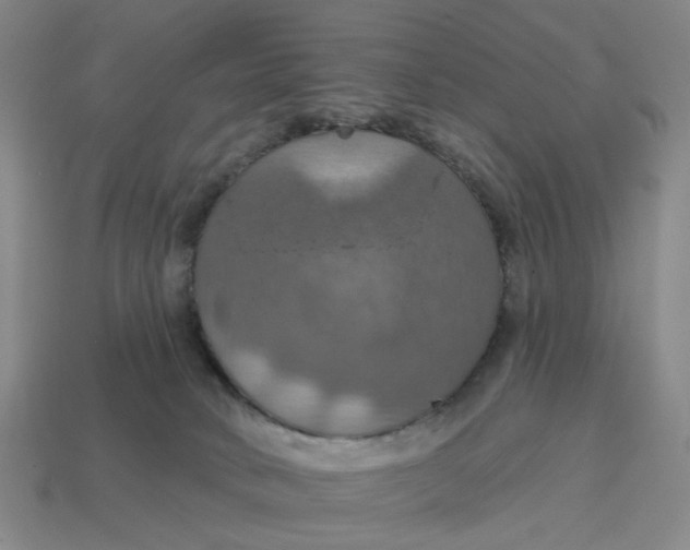 X0000114420034200911061631