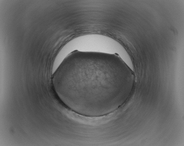 X0000114420035200911061631