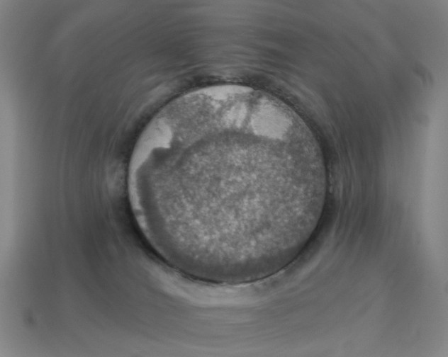 X0000114420036200911061631