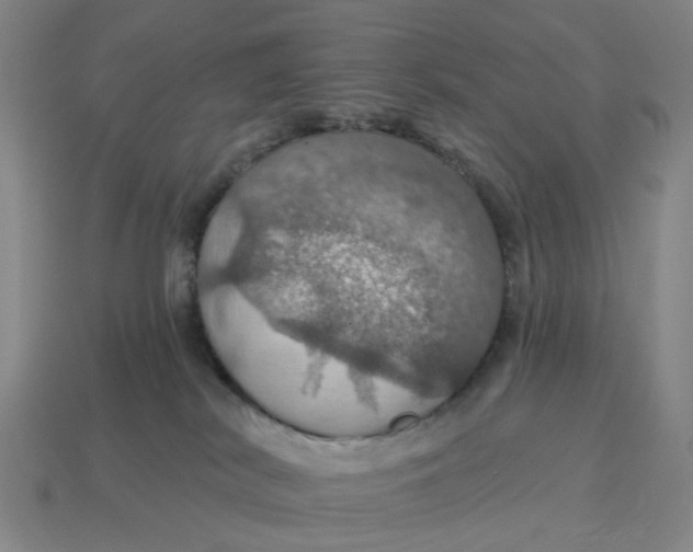 X0000114420038200911061631