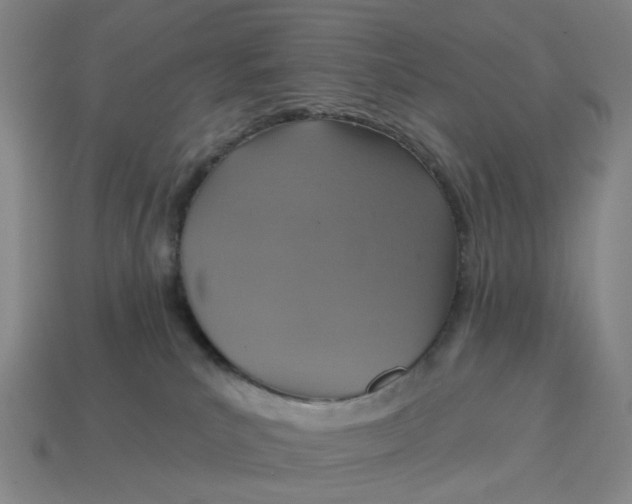 X0000114420039200911061631
