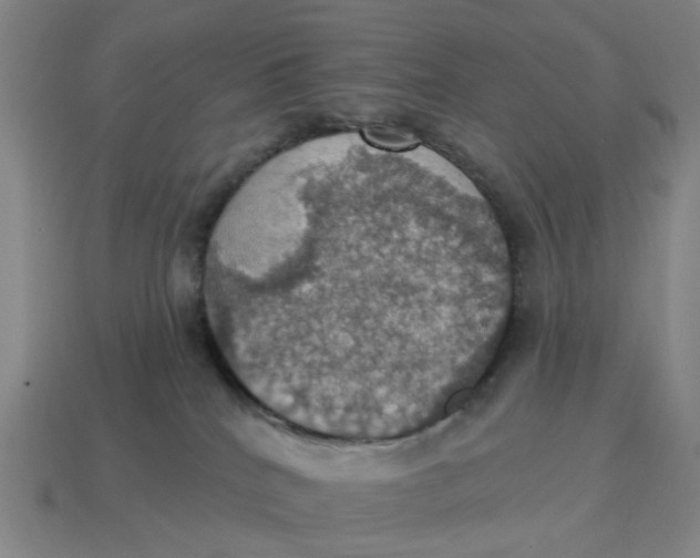 X0000114420040200911061631