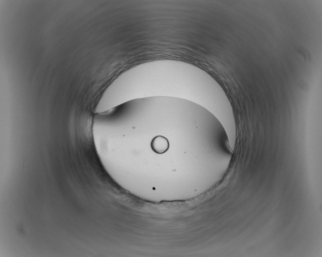 X0000114420041200911061631