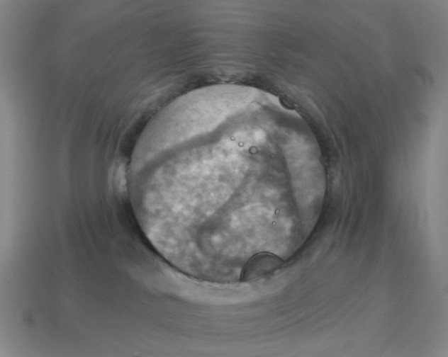 X0000114420042200911061631