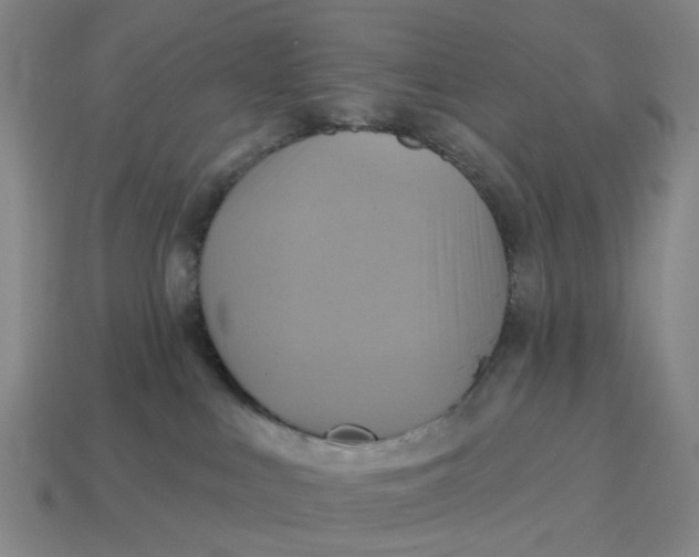 X0000114420043200911061631