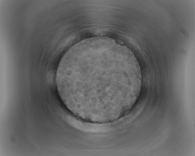 X0000114420044200911061631