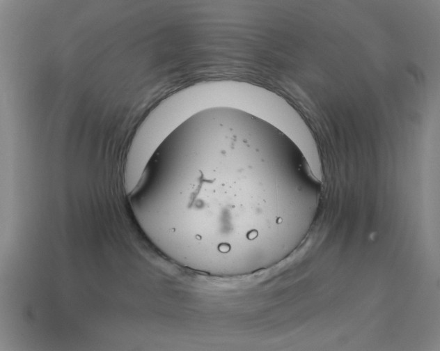 X0000114420045200911061631