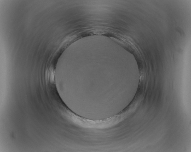 X0000114420046200911061631
