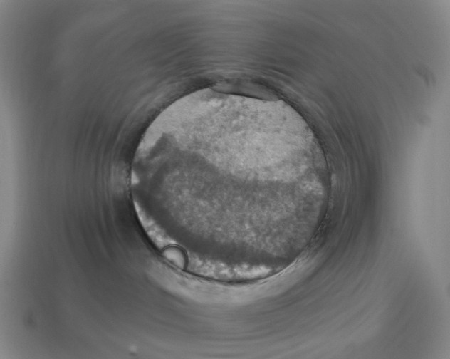 X0000114420048200911061631