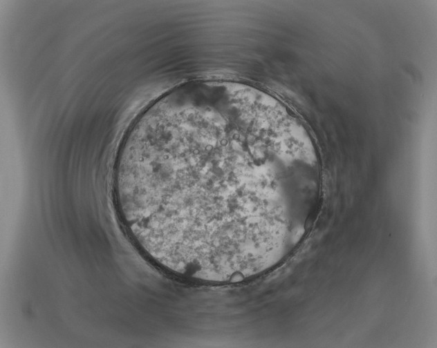 X0000114420049200911061630