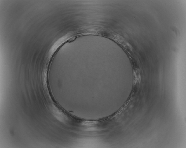 X0000114420051200911061630
