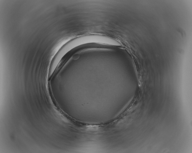 X0000114420052200911061630