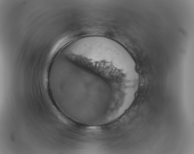 X0000114420053200911061630