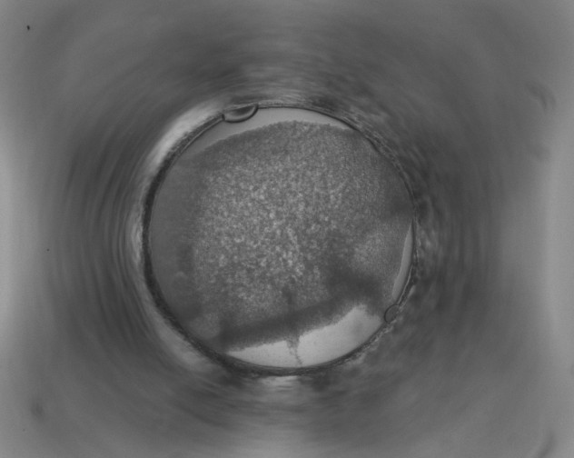 X0000114420054200911061630