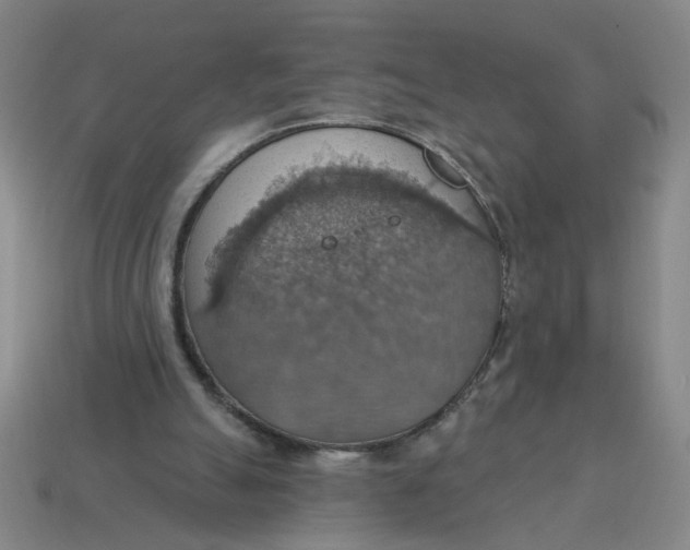 X0000114420055200911061630