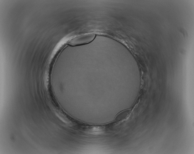X0000114420056200911061630