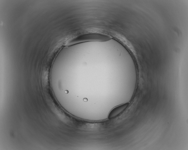 X0000114420057200911061630