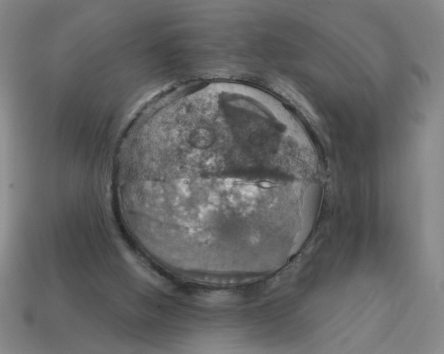 X0000114420058200911061630
