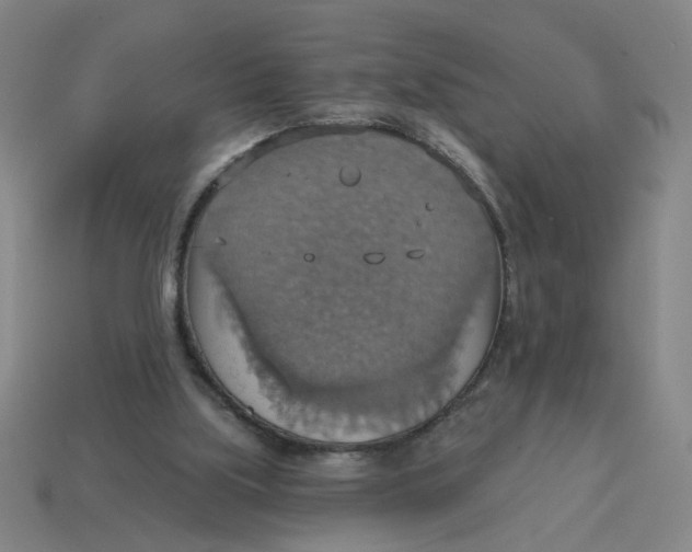 X0000114420059200911061630