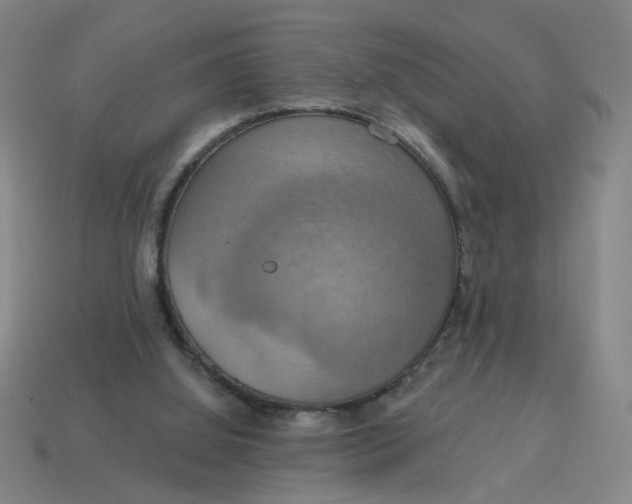 X0000114420060200911061630