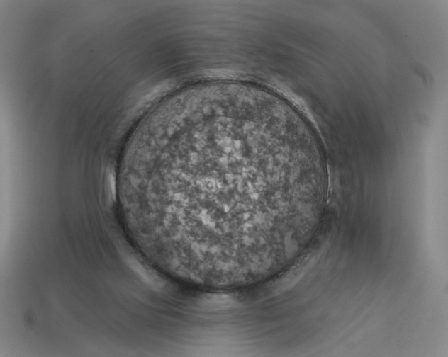 X0000114420061200911061630