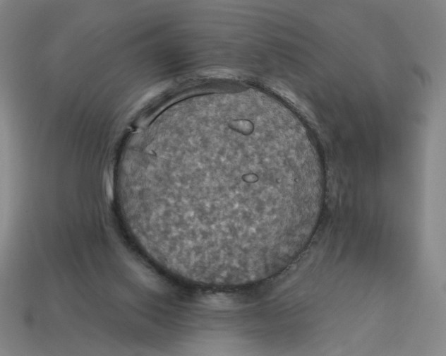 X0000114420062200911061630