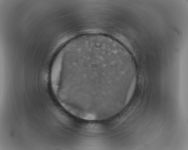 X0000114420063200911061630