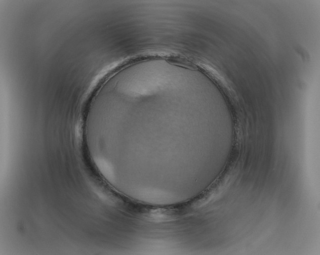 X0000114420064200911061630