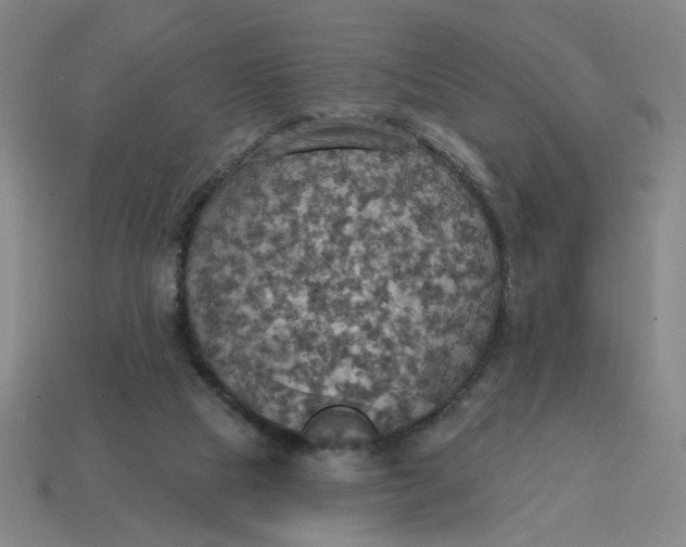 X0000114420065200911061631