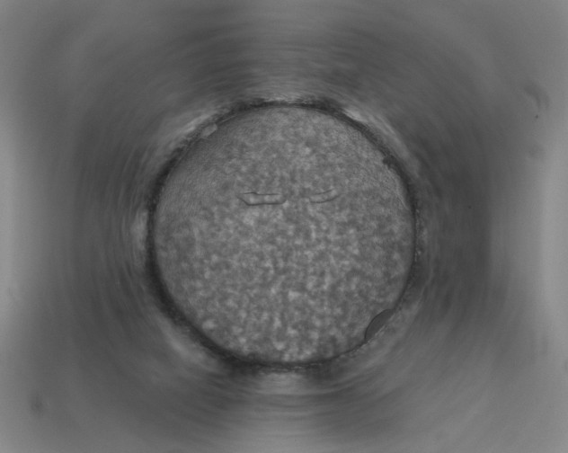 X0000114420066200911061631