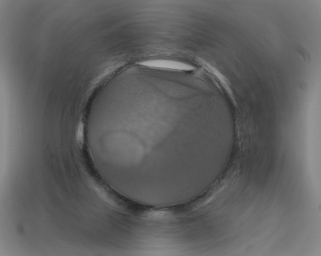 X0000114420067200911061631