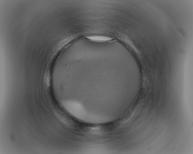 X0000114420068200911061631
