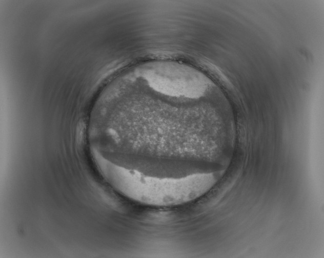 X0000114420071200911061631