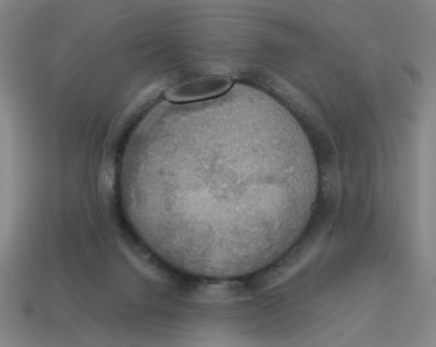X0000114420072200911061631