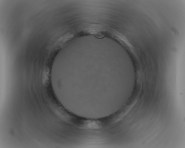 X0000114420073200911061631