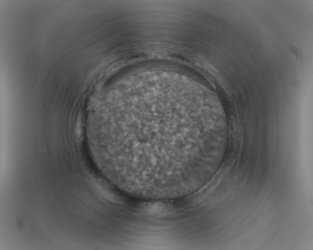 X0000114420074200911061631