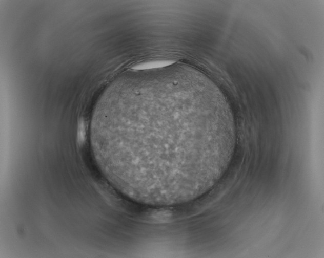 X0000114420075200911061631