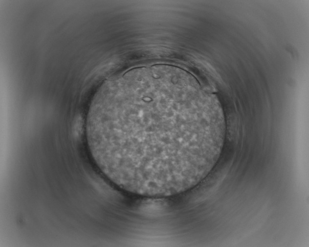 X0000114420077200911061631