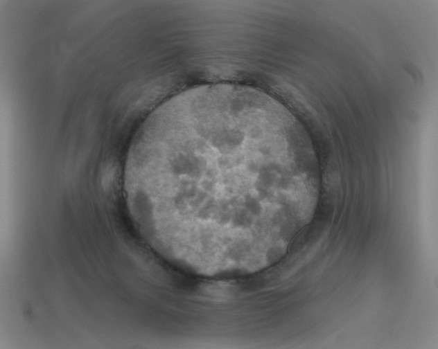 X0000114420079200911061631