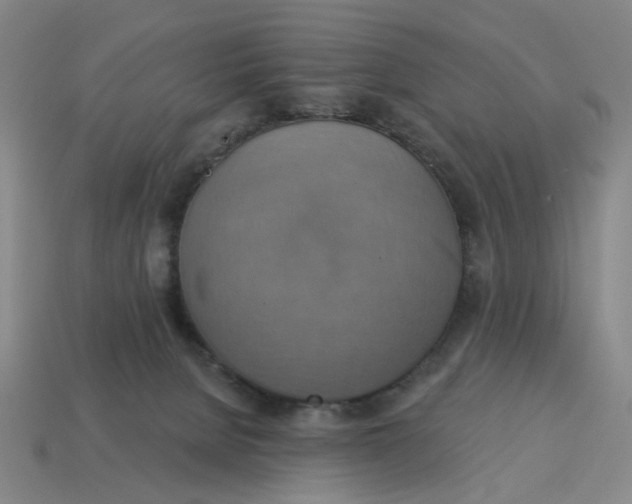 X0000114420080200911061631