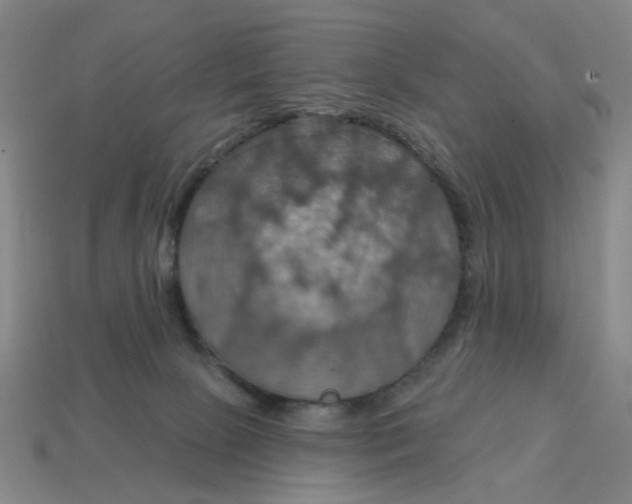 X0000114420081200911061631