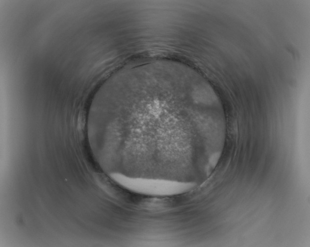 X0000114420082200911061631