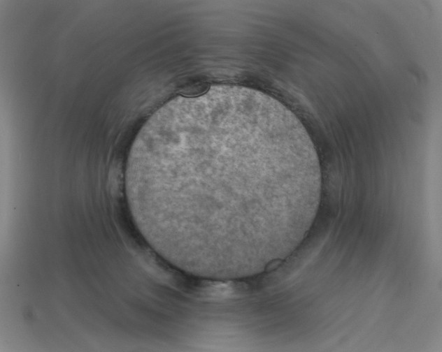 X0000114420083200911061631