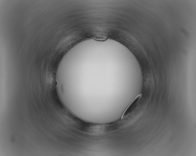 X0000114420084200911061631