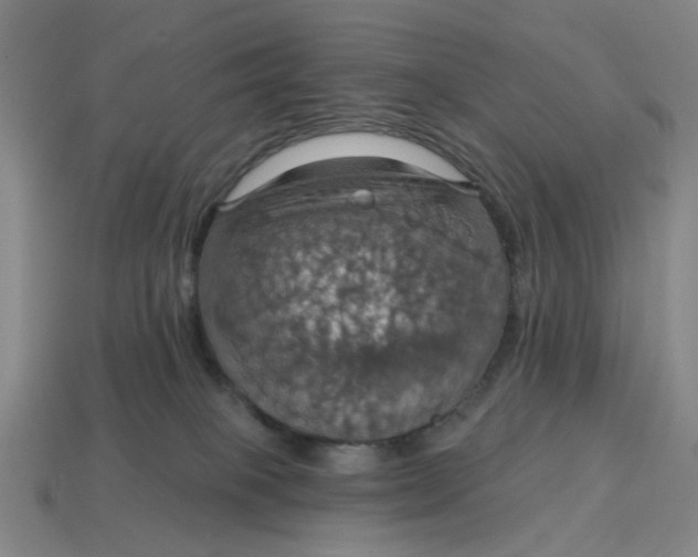 X0000114420085200911061631