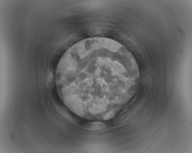 X0000114420087200911061631
