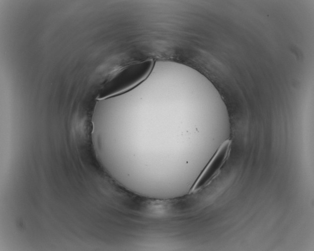 X0000114420088200911061631