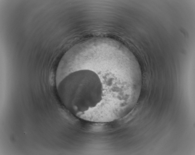 X0000114420090200911061631