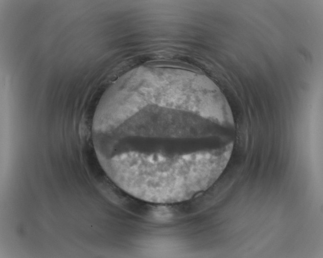 X0000114420091200911061631