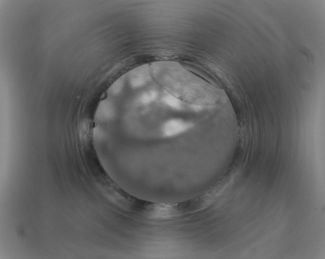 X0000114420093200911061631